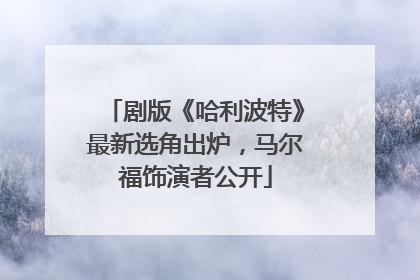剧版《哈利波特》最新选角出炉，马尔福饰演者公开