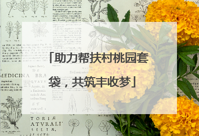 助力帮扶村桃园套袋，共筑丰收梦