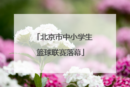 北京市中小学生篮球联赛落幕