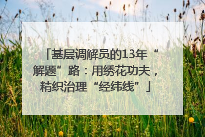 基层调解员的13年“解题”路：用绣花功夫，精织治理“经纬线”
