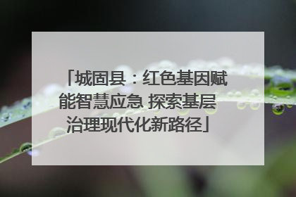 城固县：红色基因赋能智慧应急 探索基层治理现代化新路径