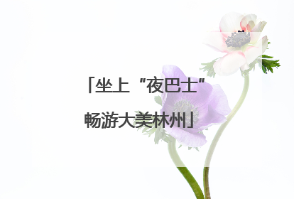 坐上“夜巴士” 畅游大美林州