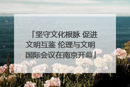 坚守文化根脉 促进文明互鉴 伦理与文明国际会议在南京开幕