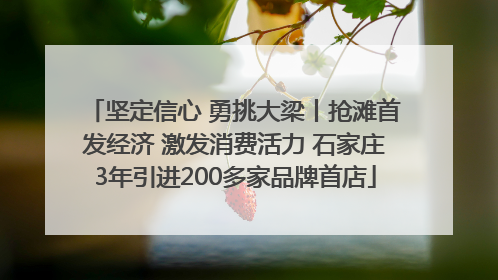 坚定信心 勇挑大梁丨抢滩首发经济 激发消费活力 石家庄3年引进200多家品牌首店