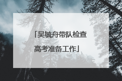 吴毓舟带队检查高考准备工作