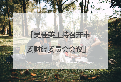 吴桂英主持召开市委财经委员会会议