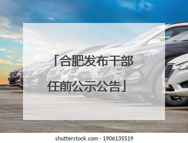 合肥发布干部任前公示公告