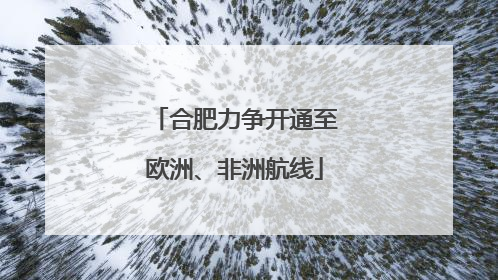 合肥力争开通至欧洲、非洲航线