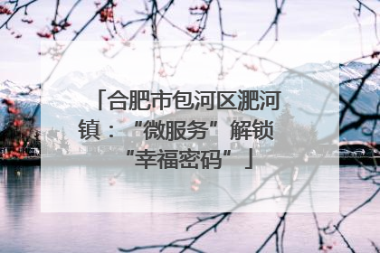 合肥市包河区淝河镇：“微服务”解锁“幸福密码”