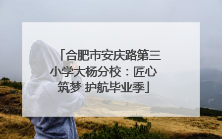合肥市安庆路第三小学大杨分校：匠心筑梦 护航毕业季