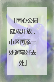 同心公园建成开放，市区再添一处遛弯好去处