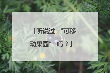 听说过 “可移动果园” 吗？