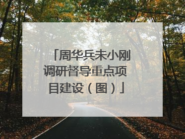 周华兵未小刚调研督导重点项目建设（图）