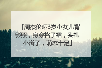 周杰伦晒3岁小女儿背影照，身穿格子裙，头扎小辫子，萌态十足