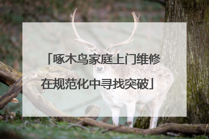 啄木鸟家庭上门维修在规范化中寻找突破