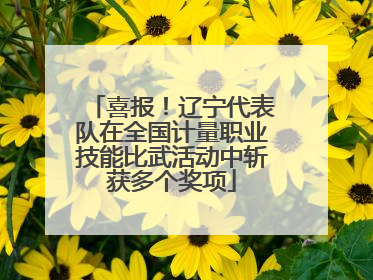 喜报！辽宁代表队在全国计量职业技能比武活动中斩获多个奖项
