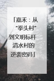 嘉禾：从“拳头村”到文明标杆 清水村的逆袭密码