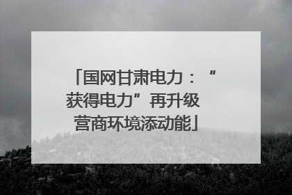 国网甘肃电力：“获得电力”再升级 营商环境添动能