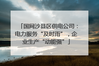 国网沙县区供电公司：电力服务“及时雨”，企业生产“动能强”