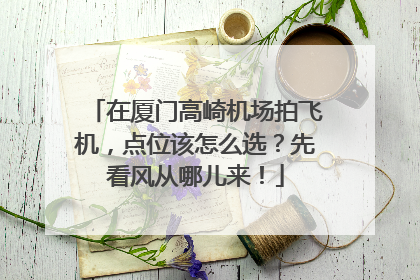 在厦门高崎机场拍飞机，点位该怎么选？先看风从哪儿来！