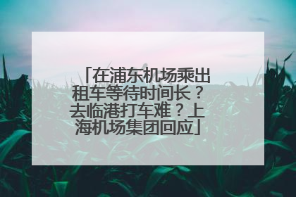 在浦东机场乘出租车等待时间长？去临港打车难？上海机场集团回应