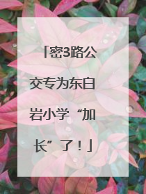 密3路公交专为东白岩小学“加长”了！