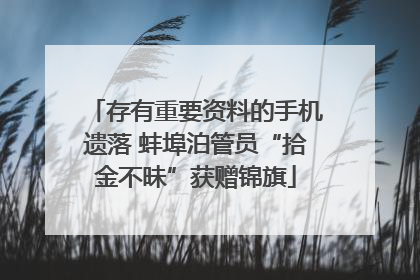 存有重要资料的手机遗落 蚌埠泊管员“拾金不昧”获赠锦旗