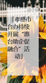 孝感市台办持续开展“惠台助企促融合”活动