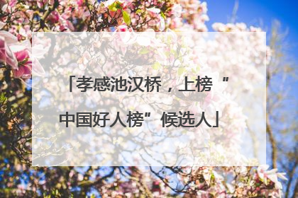 孝感池汉桥，上榜“中国好人榜”候选人