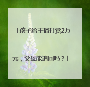 孩子给主播打赏2万元，父母能追回吗？