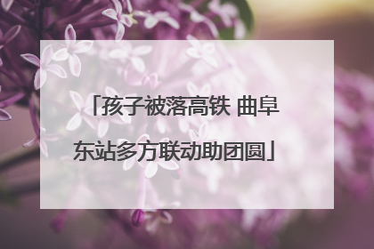 孩子被落高铁 曲阜东站多方联动助团圆
