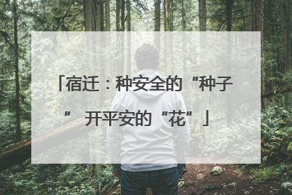 宿迁：种安全的“种子” 开平安的“花”