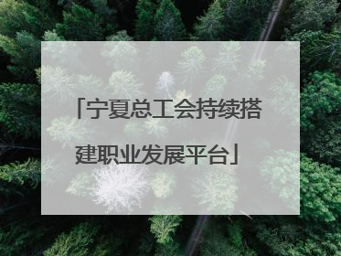 宁夏总工会持续搭建职业发展平台