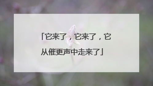 它来了，它来了，它从催更声中走来了