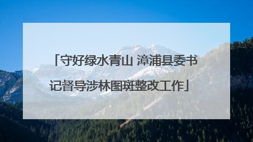 守好绿水青山 漳浦县委书记督导涉林图斑整改工作