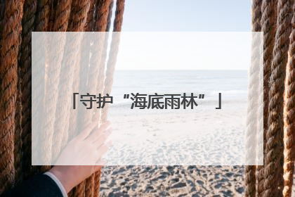 守护“海底雨林”