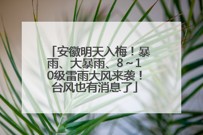 安徽明天入梅！暴雨、大暴雨、8～10级雷雨大风来袭！台风也有消息了
