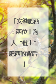 安徽肥西：两位上海人“链上”肥西的背后
