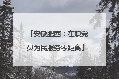 安徽肥西：在职党员为民服务零距离