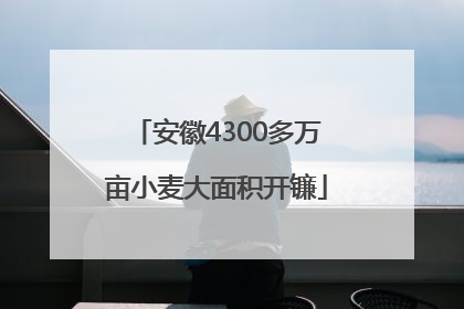 安徽4300多万亩小麦大面积开镰