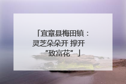 宜章县梅田镇：灵芝朵朵开 撑开“致富花”