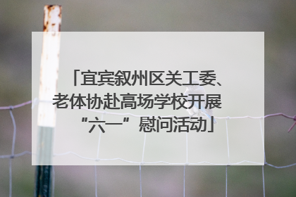 宜宾叙州区关工委、老体协赴高场学校开展“六一”慰问活动