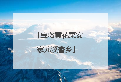 宝岛黄花菜安家尤溪畲乡