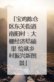 宝鸡陈仓区东关街道南阳村：大棚经济结硕果 绘就乡村振兴新图景