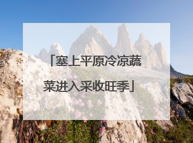 塞上平原冷凉蔬菜进入采收旺季