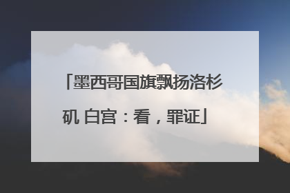 墨西哥国旗飘扬洛杉矶 白宫：看，罪证