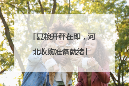 夏粮开秤在即，河北收购准备就绪