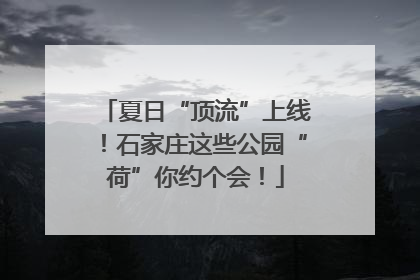夏日“顶流”上线！石家庄这些公园“荷”你约个会！