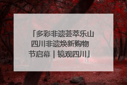 多彩非遗荟萃乐山 四川非遗焕新购物节启幕｜镜观四川
