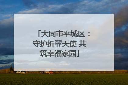 大同市平城区：守护折翼天使 共筑幸福家园